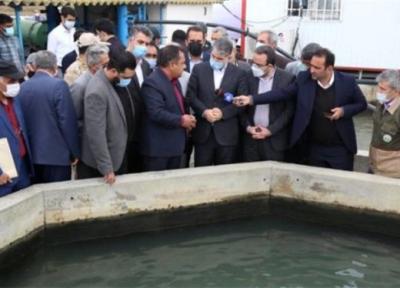 بازدید وزیر جهادکشاورزی از پروژه پرورش ماهیان خاویاری در بندر گز
