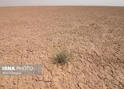 7 نکته درباره بیابان ها