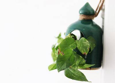 گلدان آویز برای تزیین لوله گاز روی دیوار