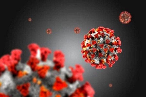 ویروس کرونا 28 روز روی سطوح زنده می ماند ویروس کرونا 28 روز روی سطوح زنده می ماند