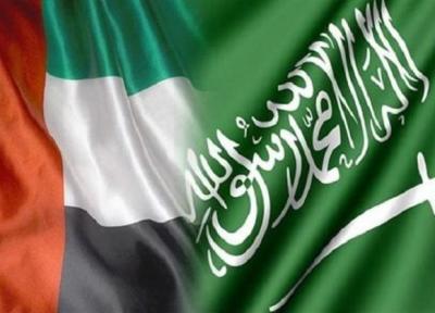 حمایت امارات از موضع عربستان درباره گزارش قتل خاشقجی