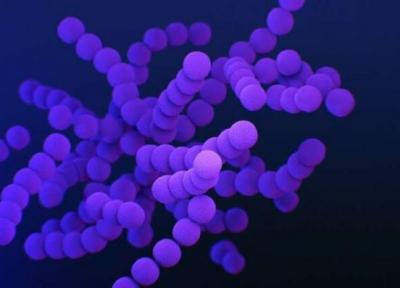 روش جدیدی برای شناسایی داروهای موثر در برابر باکتری های مقاوم