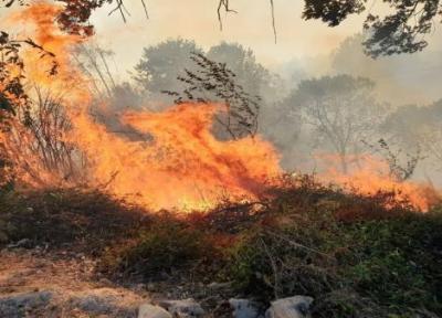کوشش برای مهار آتش در منطقه درازنو کردکوی ، تبانی باد و آتش برای خاکستر کردن جنگل های هیرکانی