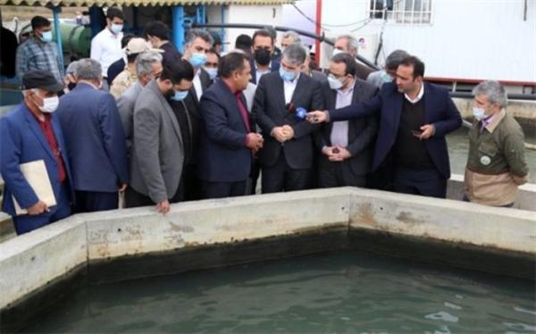 بازدید وزیر جهادکشاورزی از پروژه پرورش ماهیان خاویاری در بندر گز
