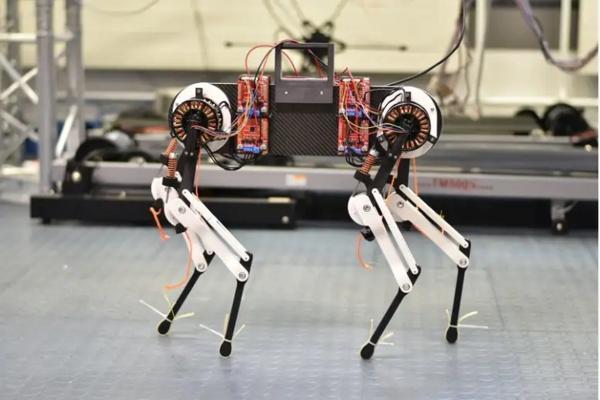 رباتی که در مدت یک ساعت بخوبی راه رفتن را یاد می گیرد
