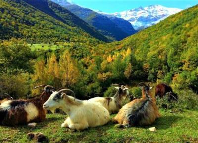 روستای توریستی و تاریخی زانوس ، مازندران Zānoos