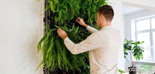 آموزش ساخت دیوار سبز در آپارتمان