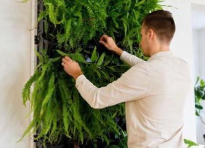 آموزش ساخت دیوار سبز در آپارتمان آموزش ساخت دیوار سبز در آپارتمان